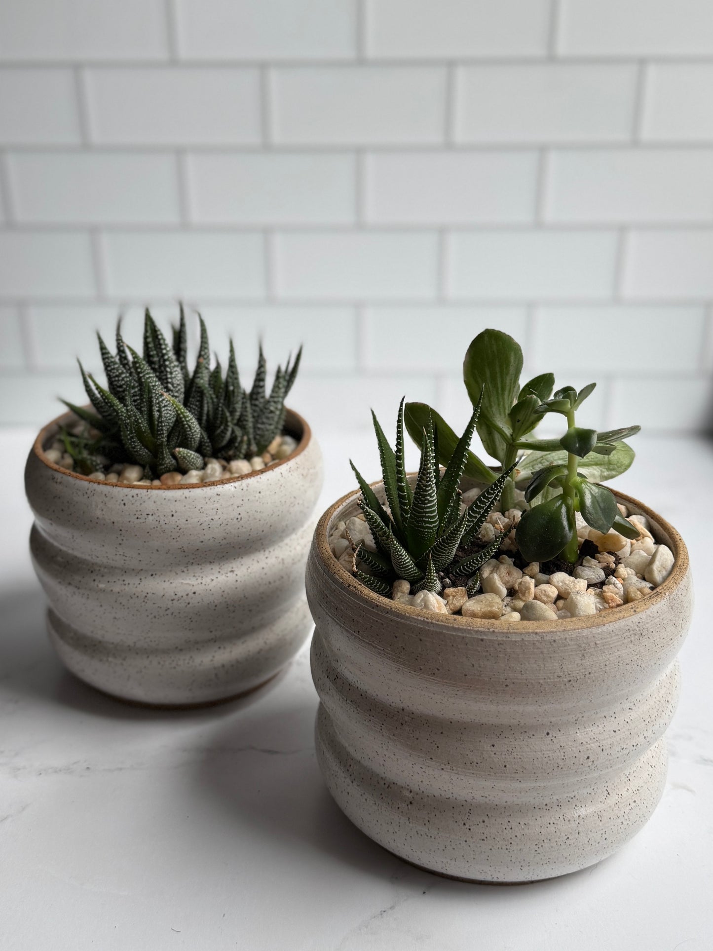 Bubble Succulent Planter- White