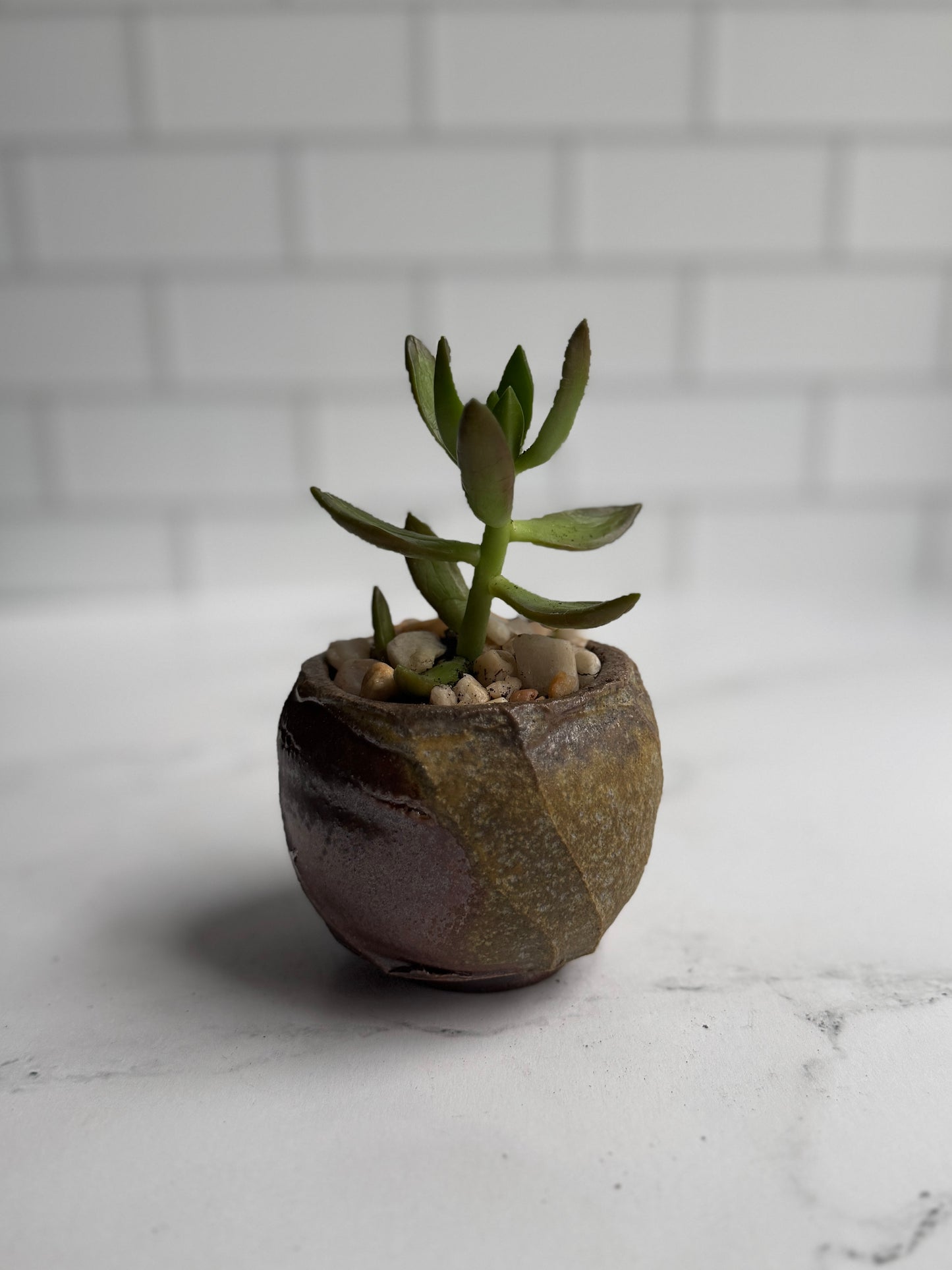 Shino Succulent Planters