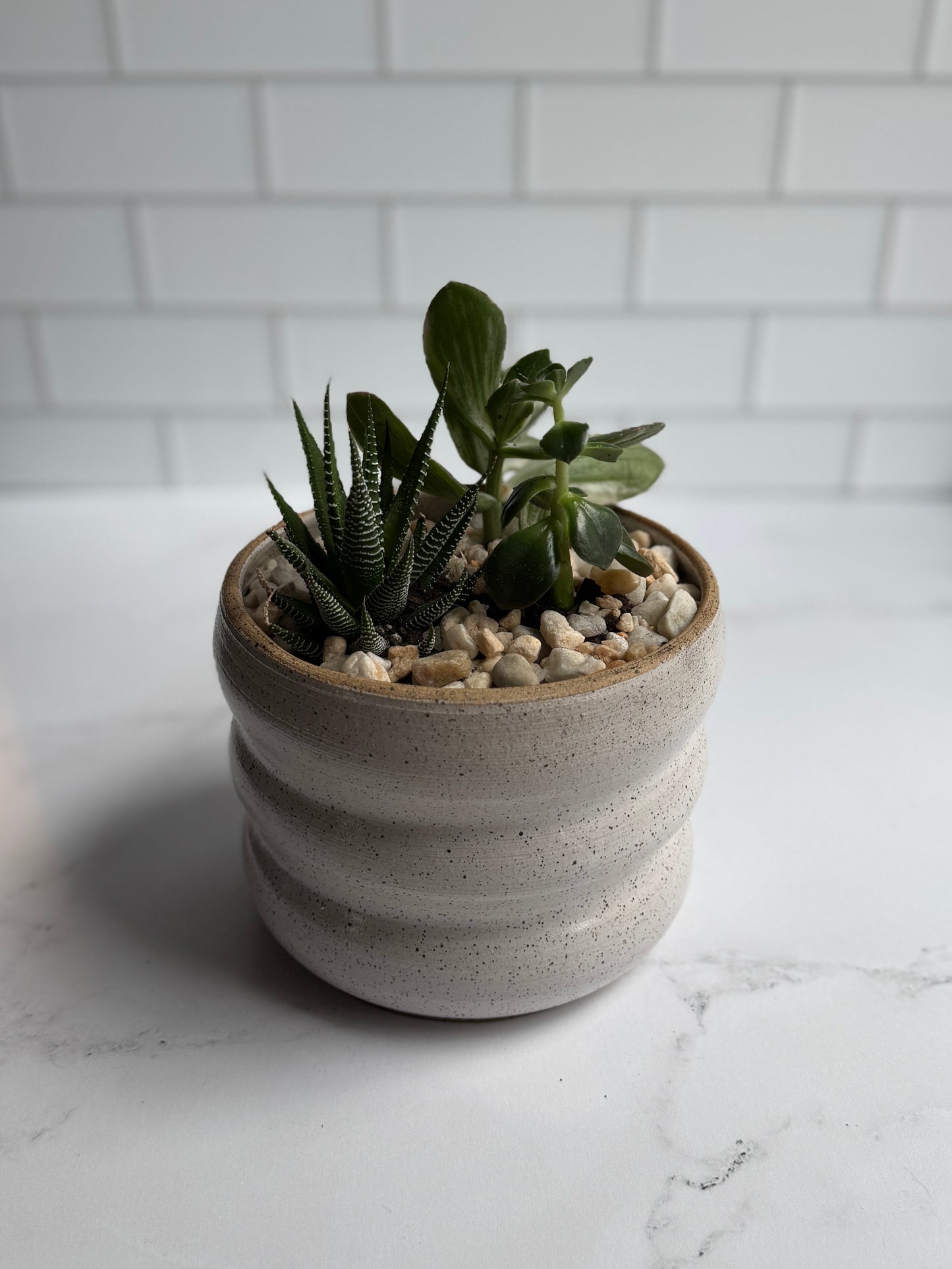 Bubble Succulent Planter- White