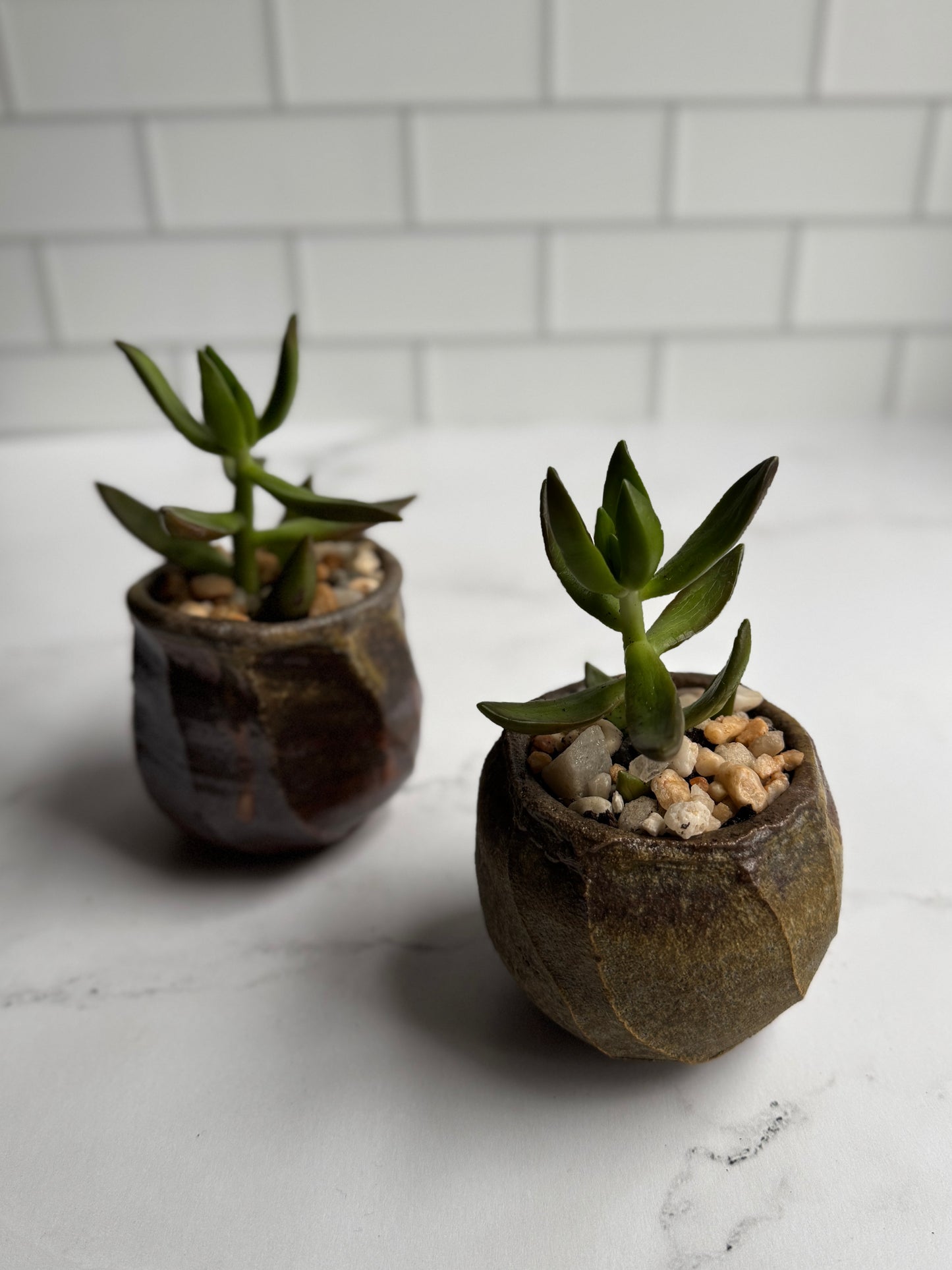 Shino Succulent Planters