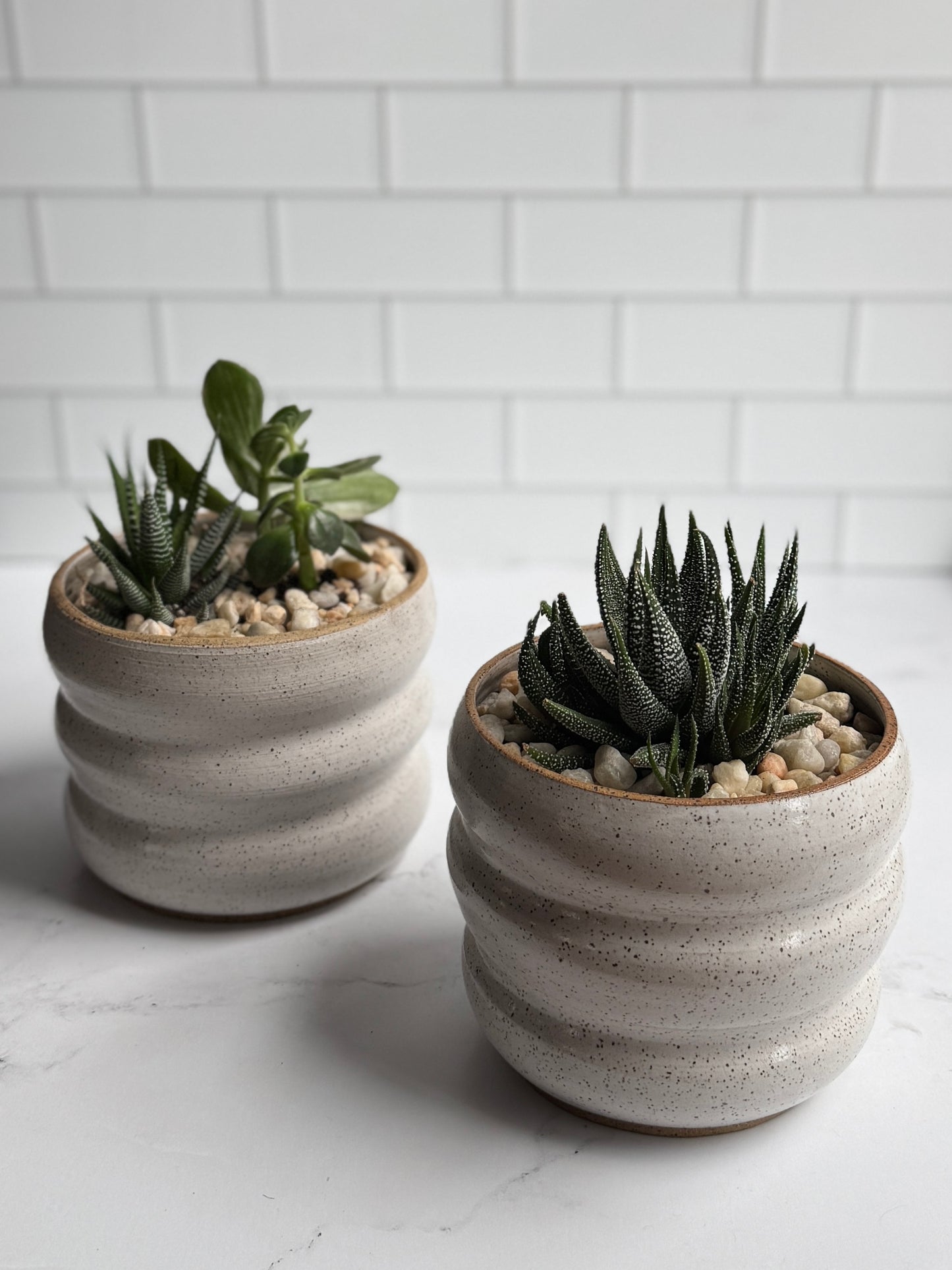 Bubble Succulent Planter- White