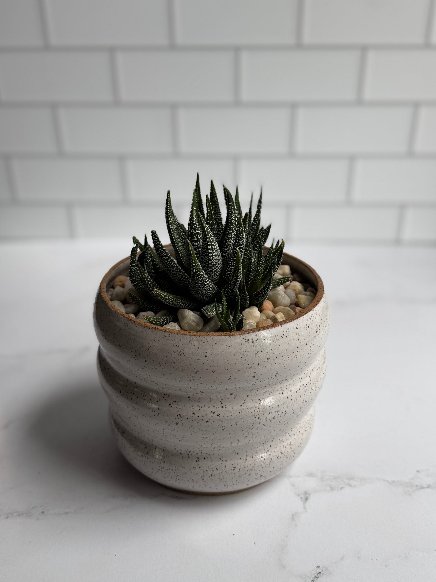 Bubble Succulent Planter- White