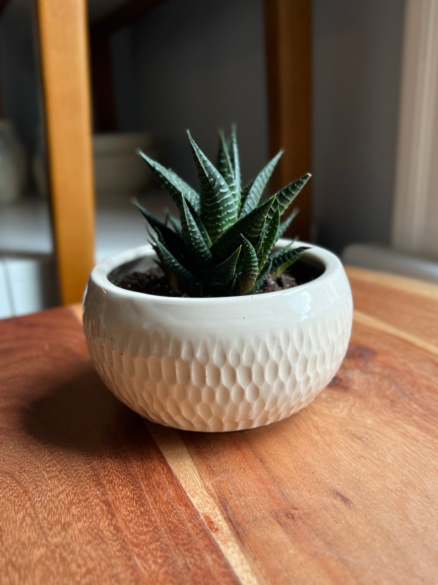 Succulent Planter- Textured Porcelain (Med)