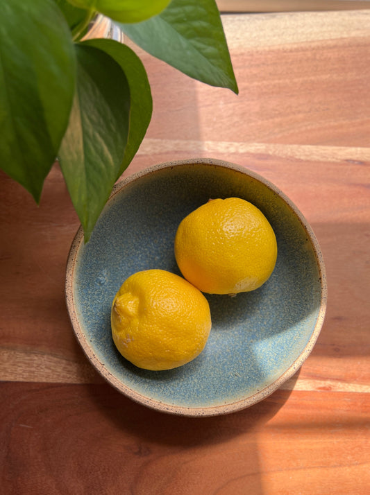 Indigo Sea Blue Bowl