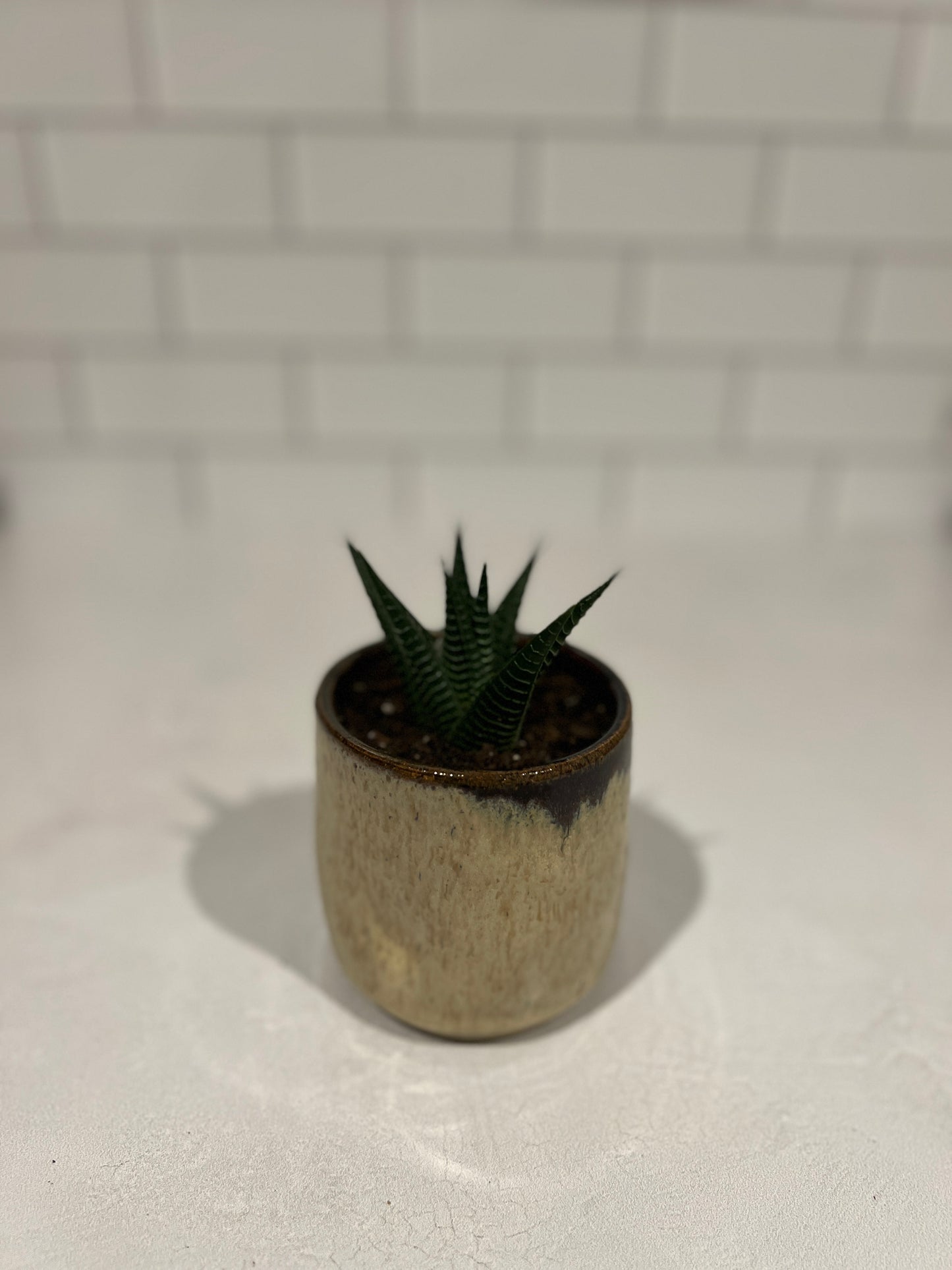 Pinched Succulent Planter
