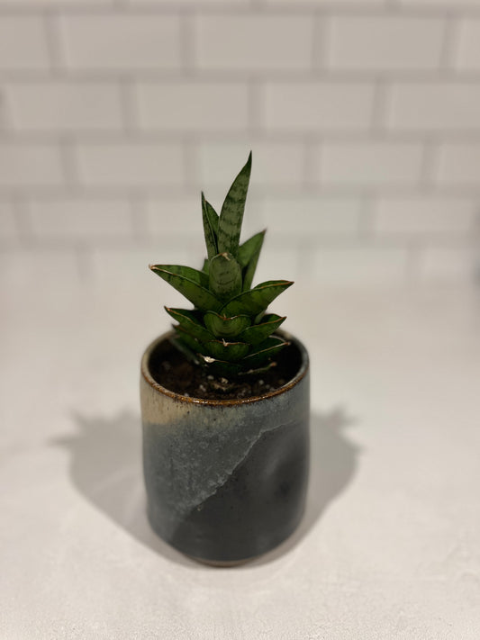 Pinched Succulent Planter